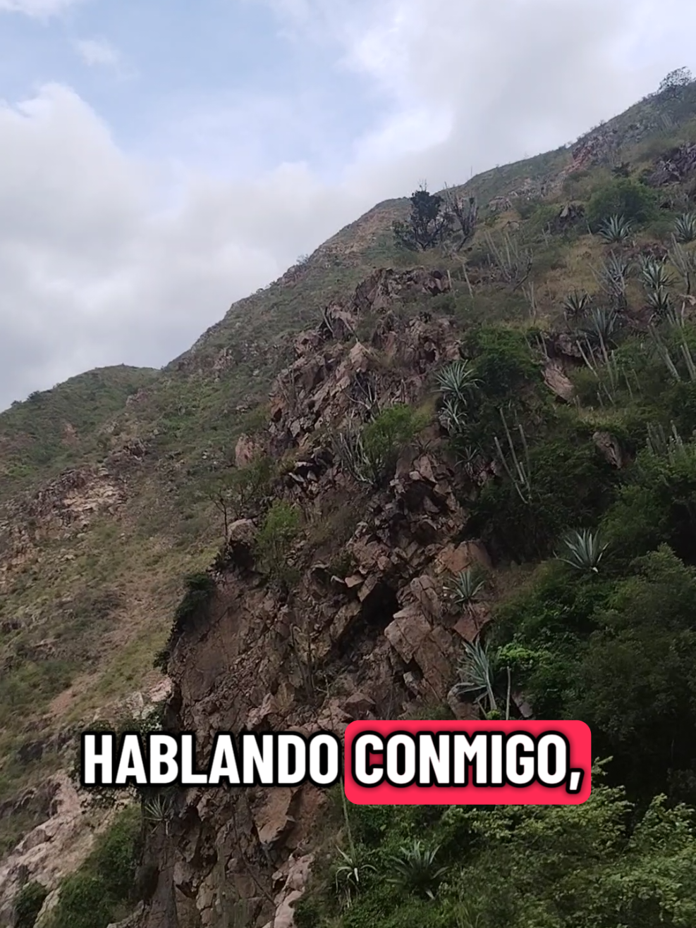 @Liliana Zabala Mendoza