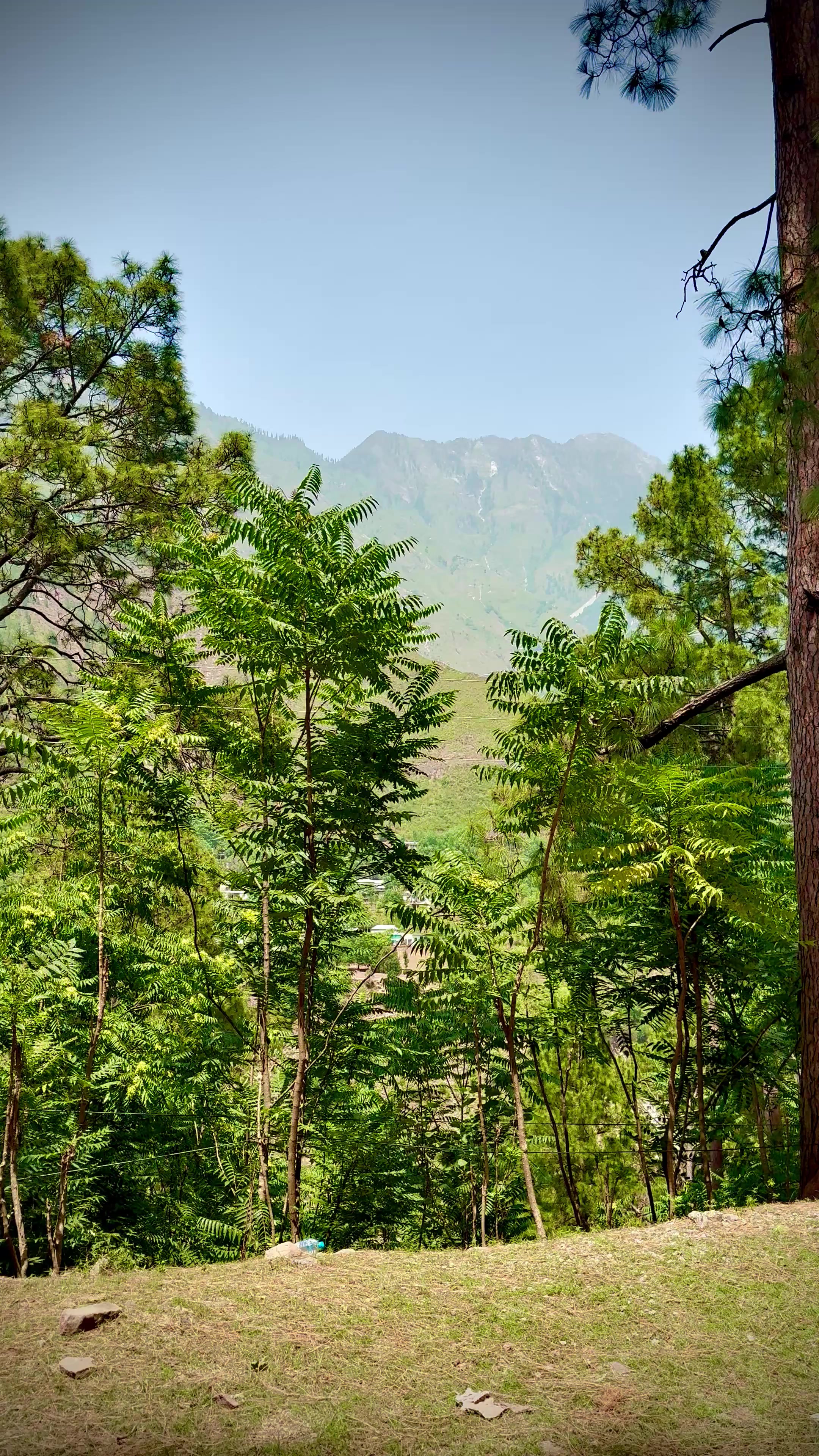 @Nature lover