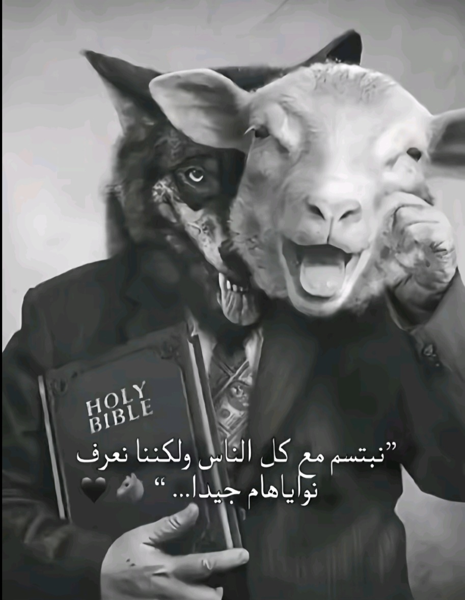 @yassin Aouili
