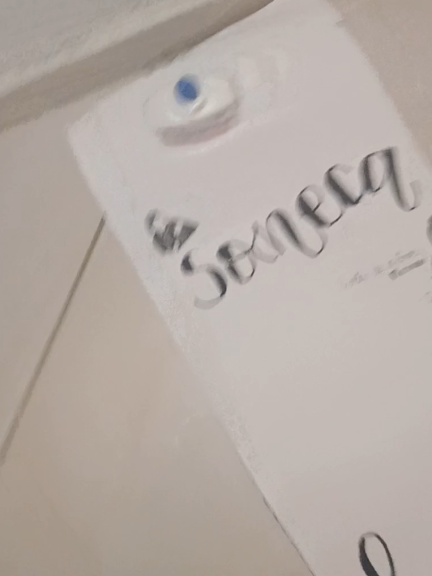 @𝕱𝔦𝔩𝔥𝔞 𝔡𝔬 𝔰𝔬𝔫𝔢𝔠𝔞💤