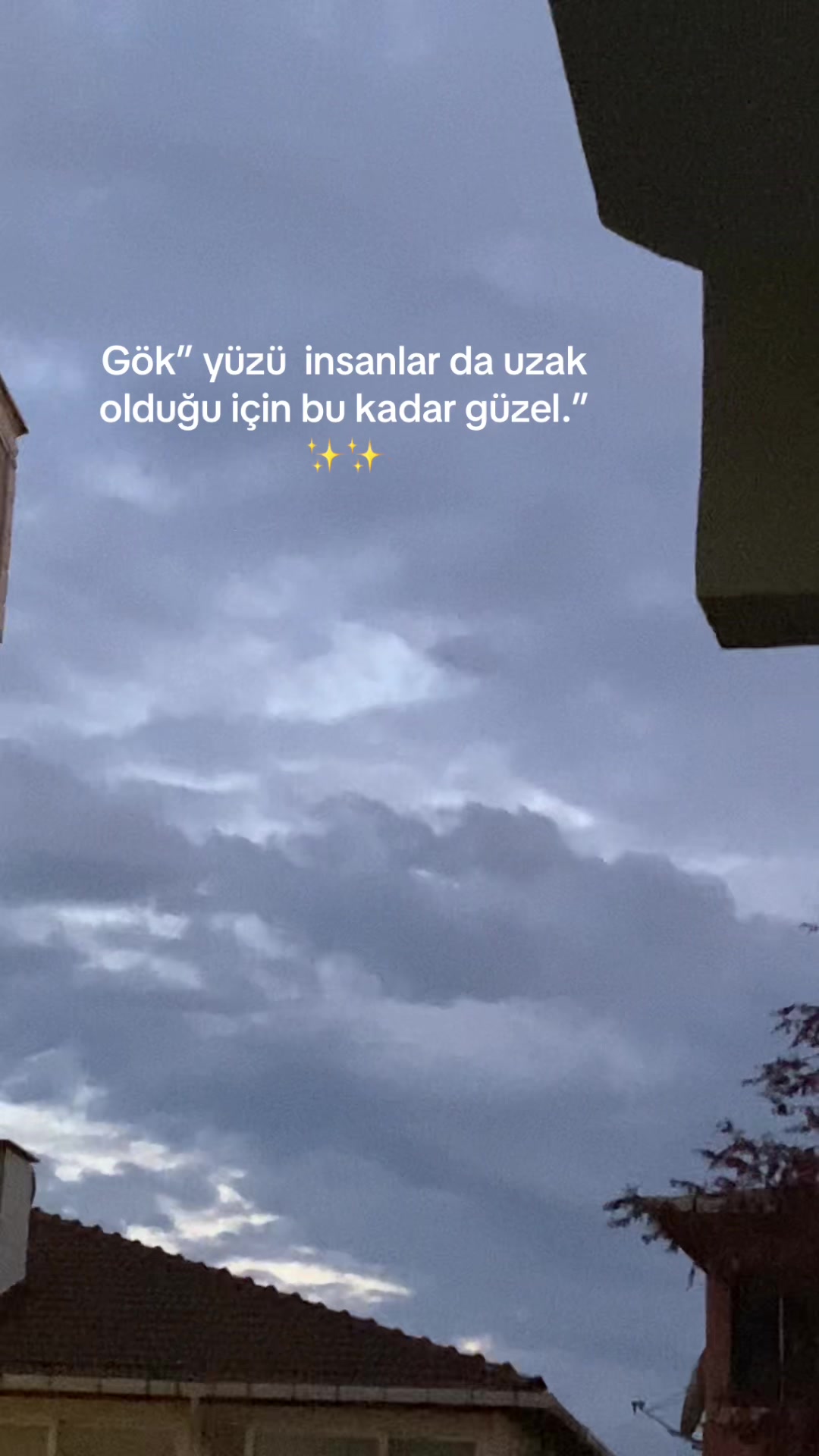 @Ez-axinn-62-🪽🕊️