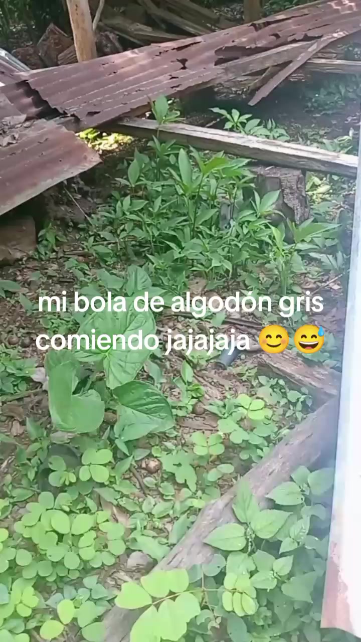 @Lia Mejia