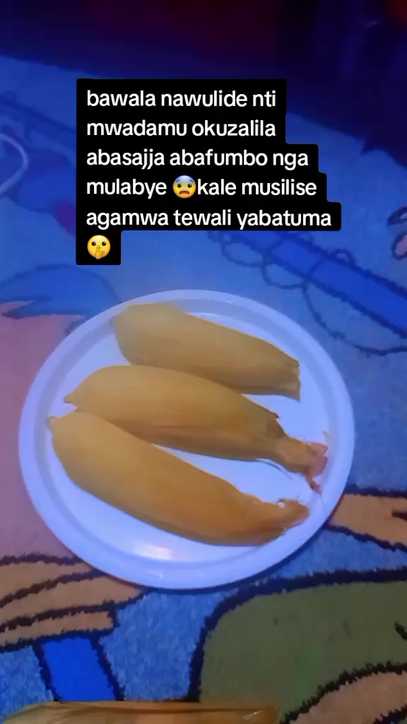 @shamilar 52