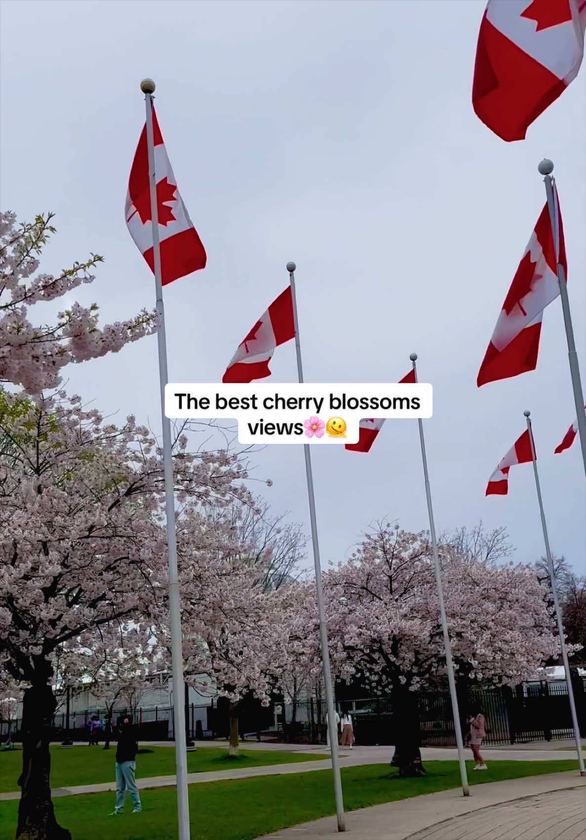 @Canada Vibes 🇨🇦🍁