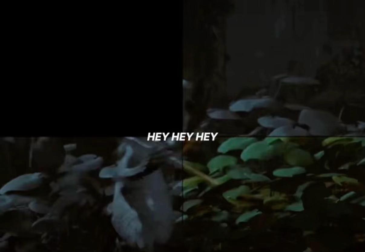 @𝐋&iota;тн&iota;к&alpha;__🦅💸