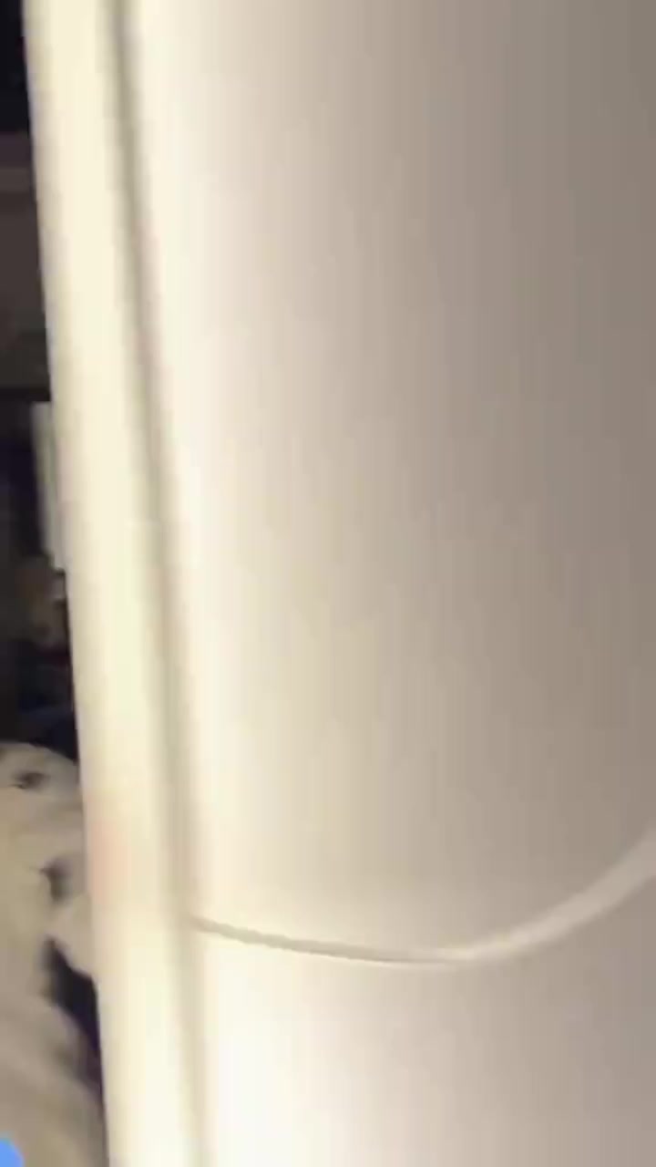 @RabeecaKashif