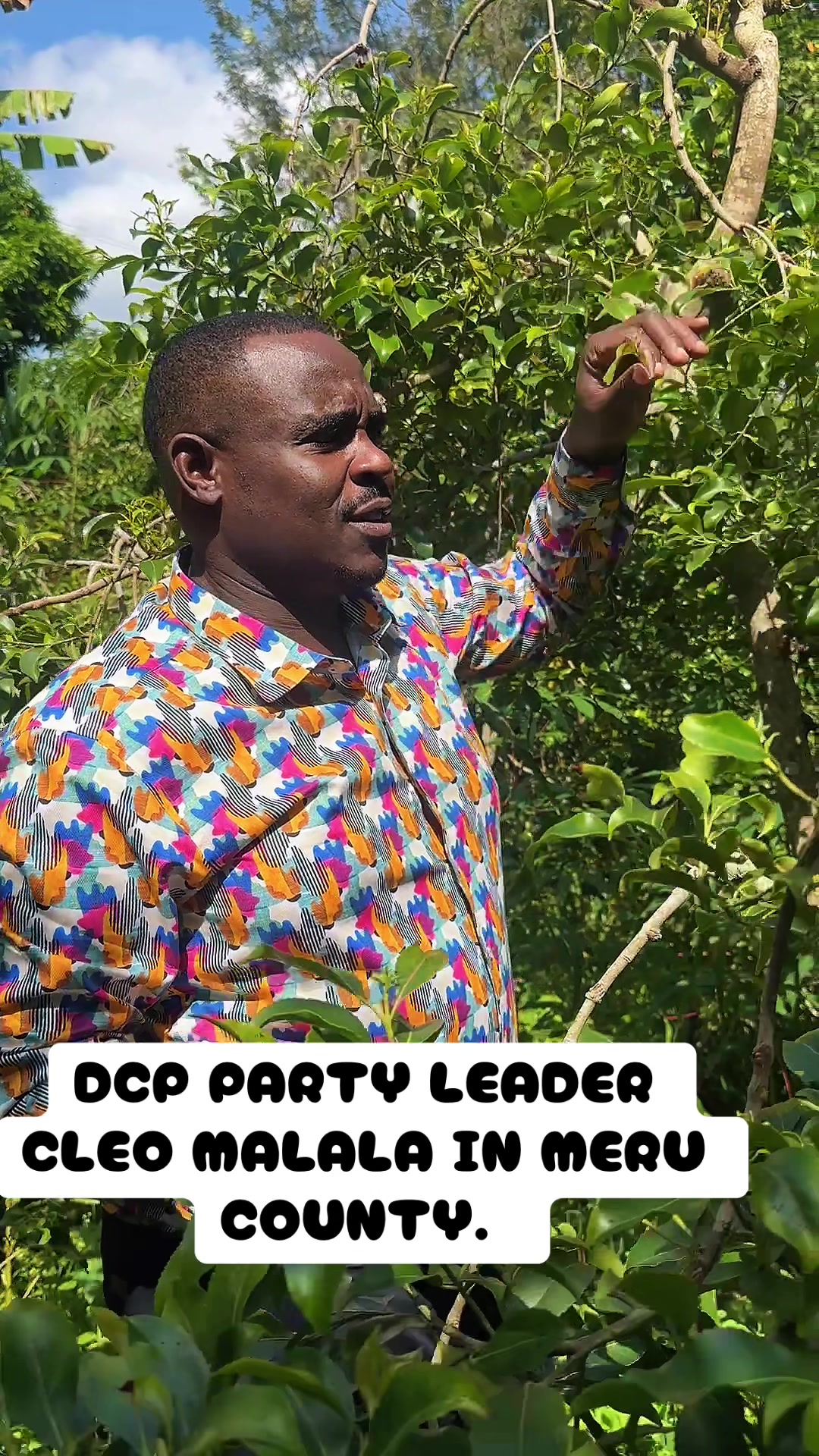 @DCP PARTY