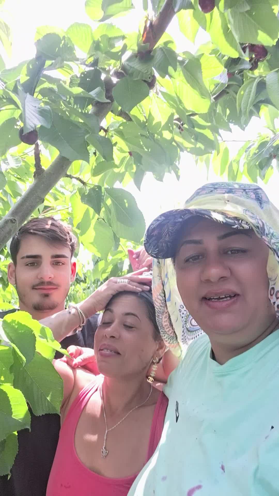 @Consuelo Amelya