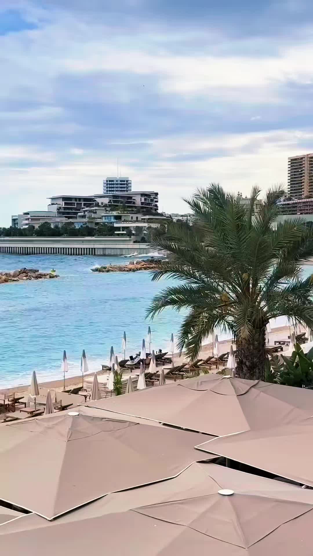 @Lion 🇦🇹
