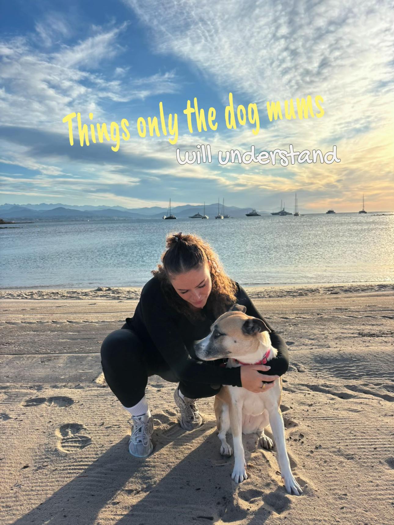 @Moo & Robyn 🐾