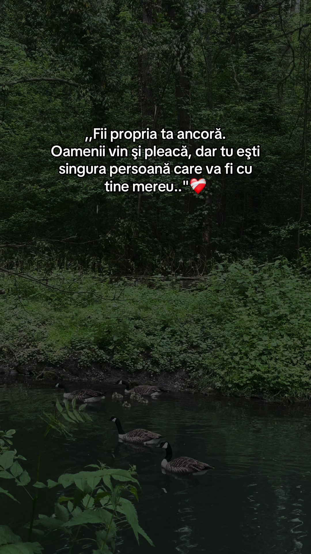 @Alina