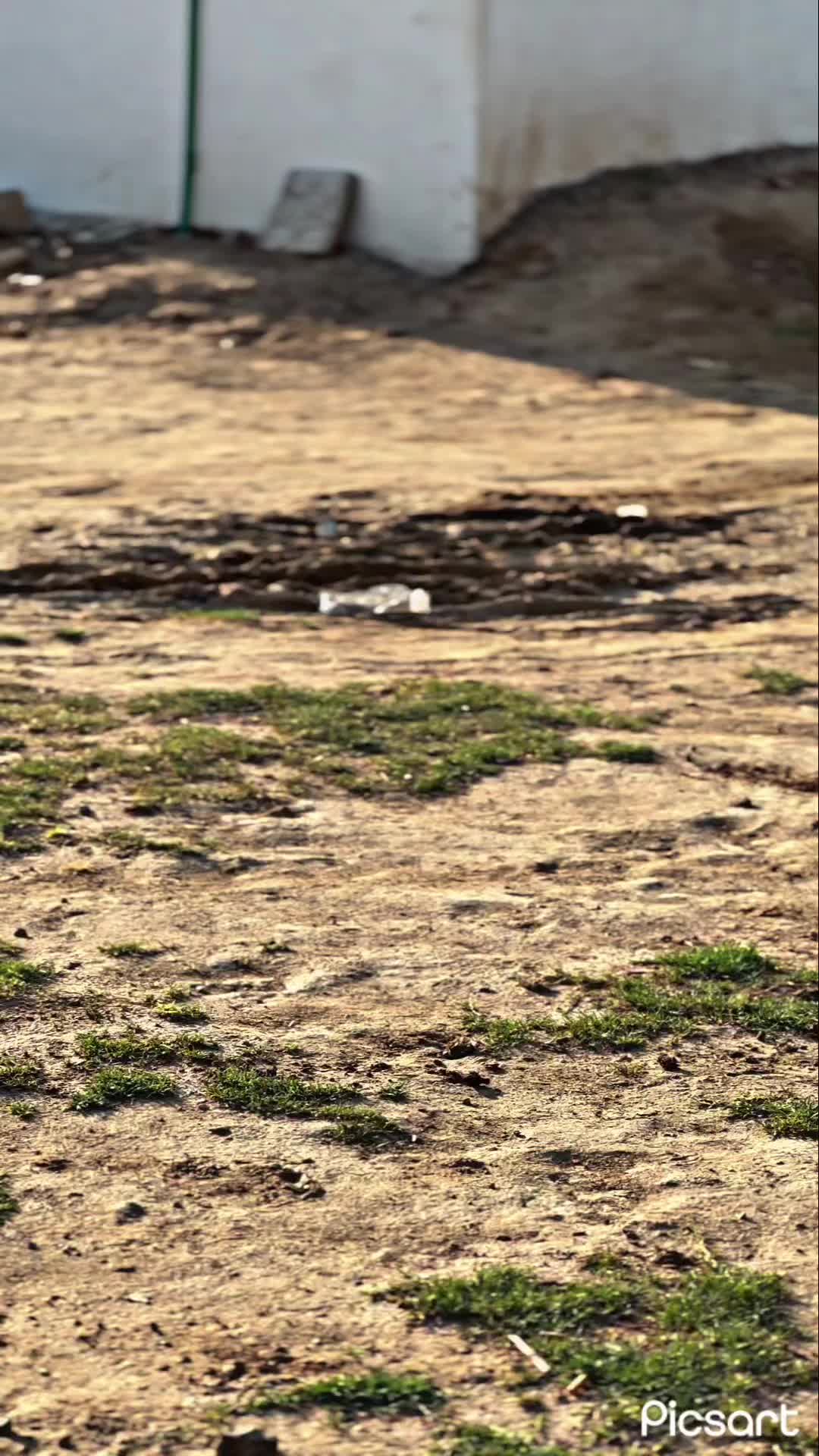@گاندھی گروپ 🥷🏻🙌🏻