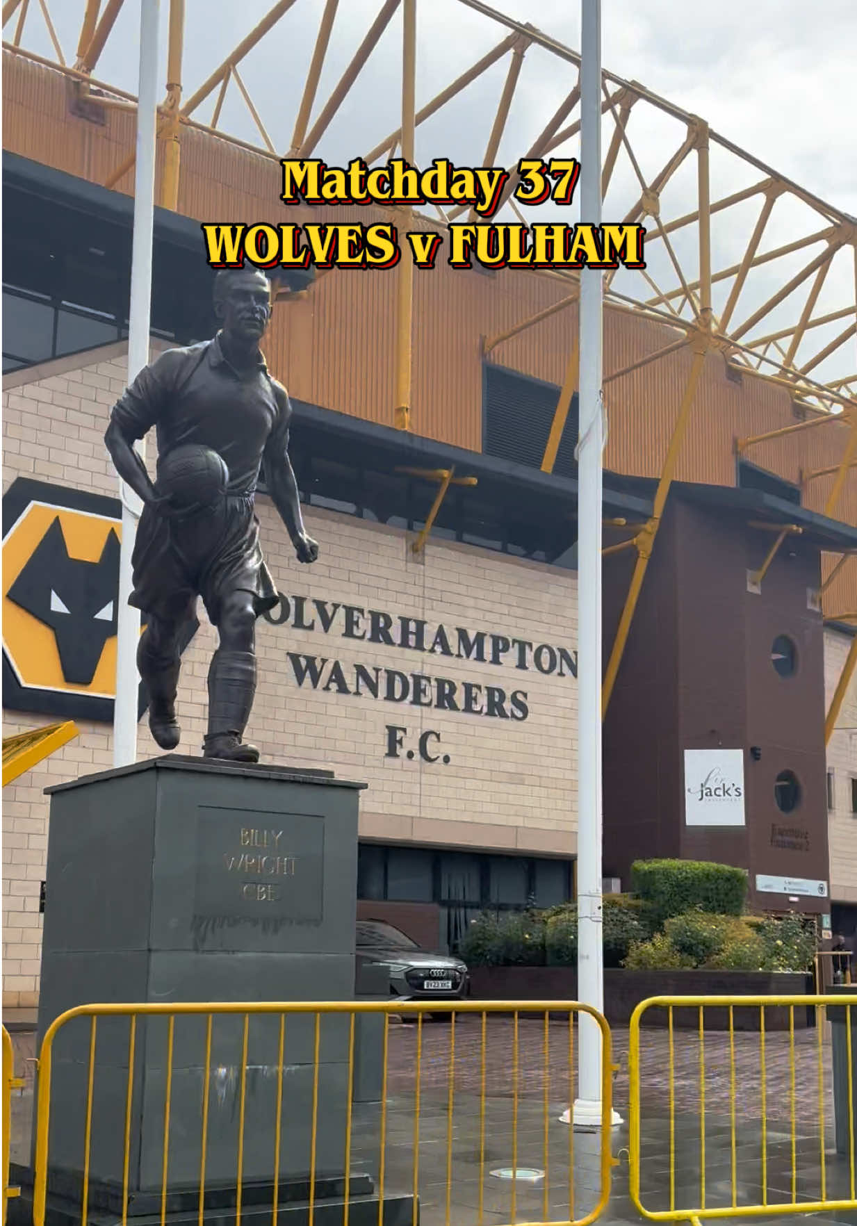 @ALWAYS WOLVES FAN TV