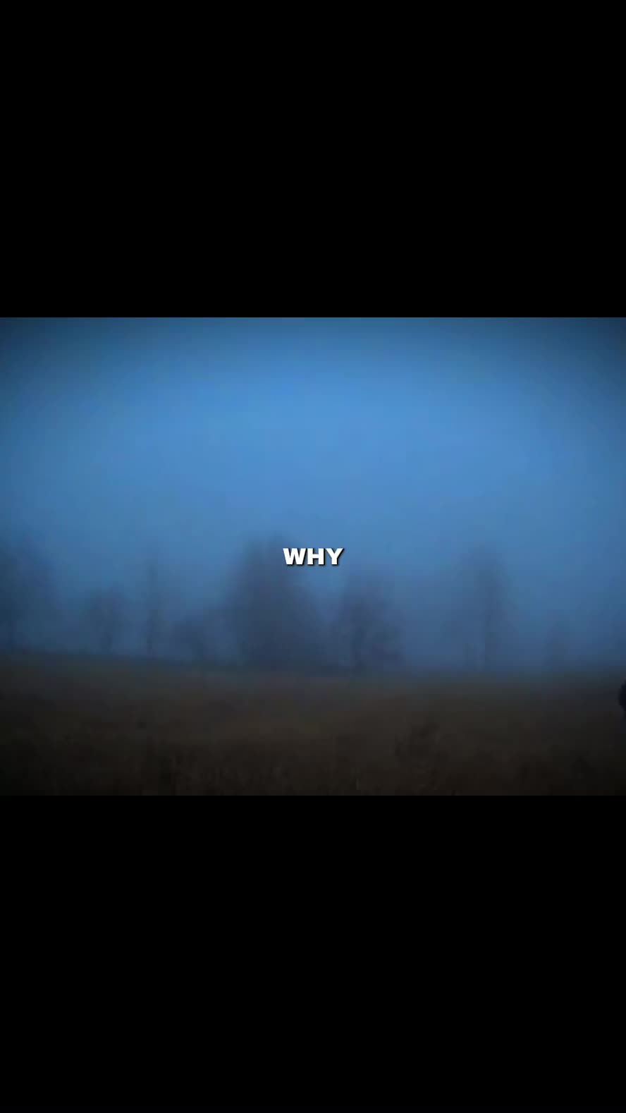 @noctyx