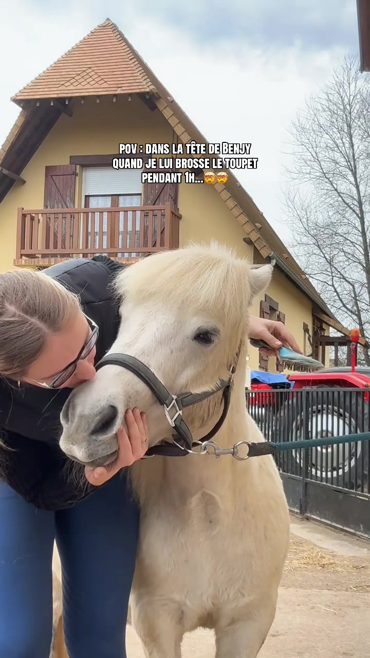 @benjyylepetitponey