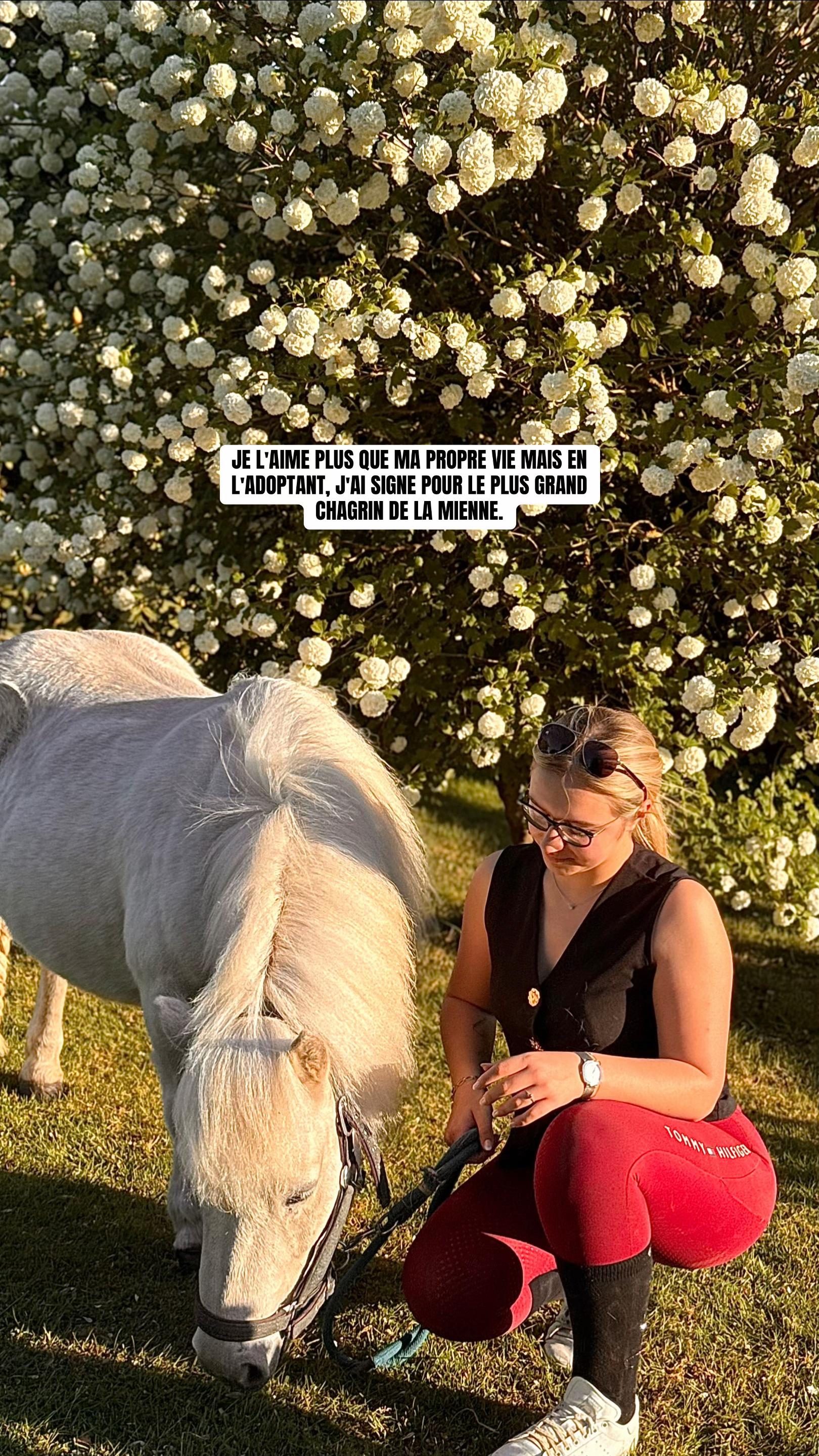 @benjyylepetitponey