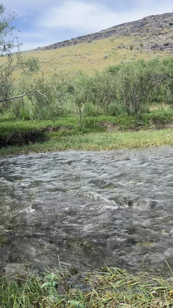 @Ersultan
