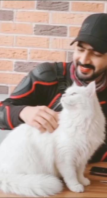 @MeHaR ZadA 🦅