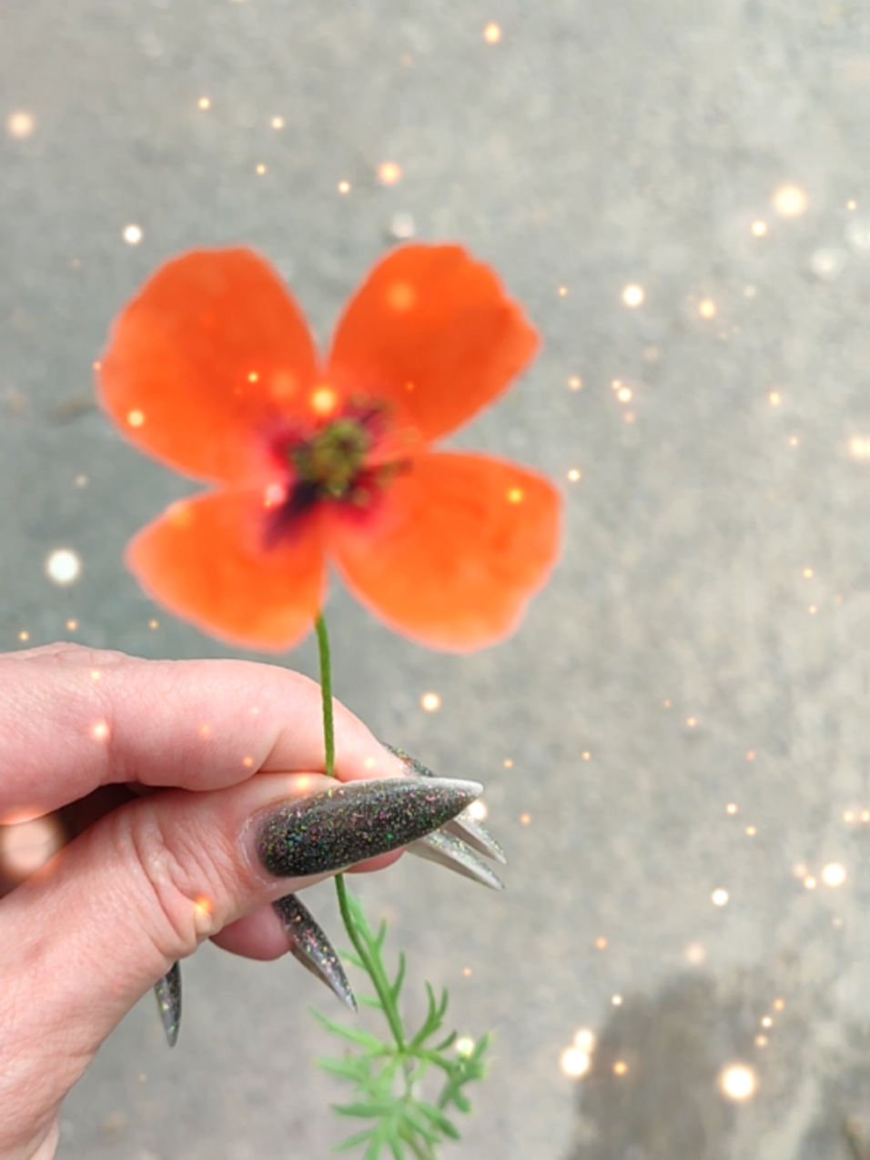 @Юлия 💐