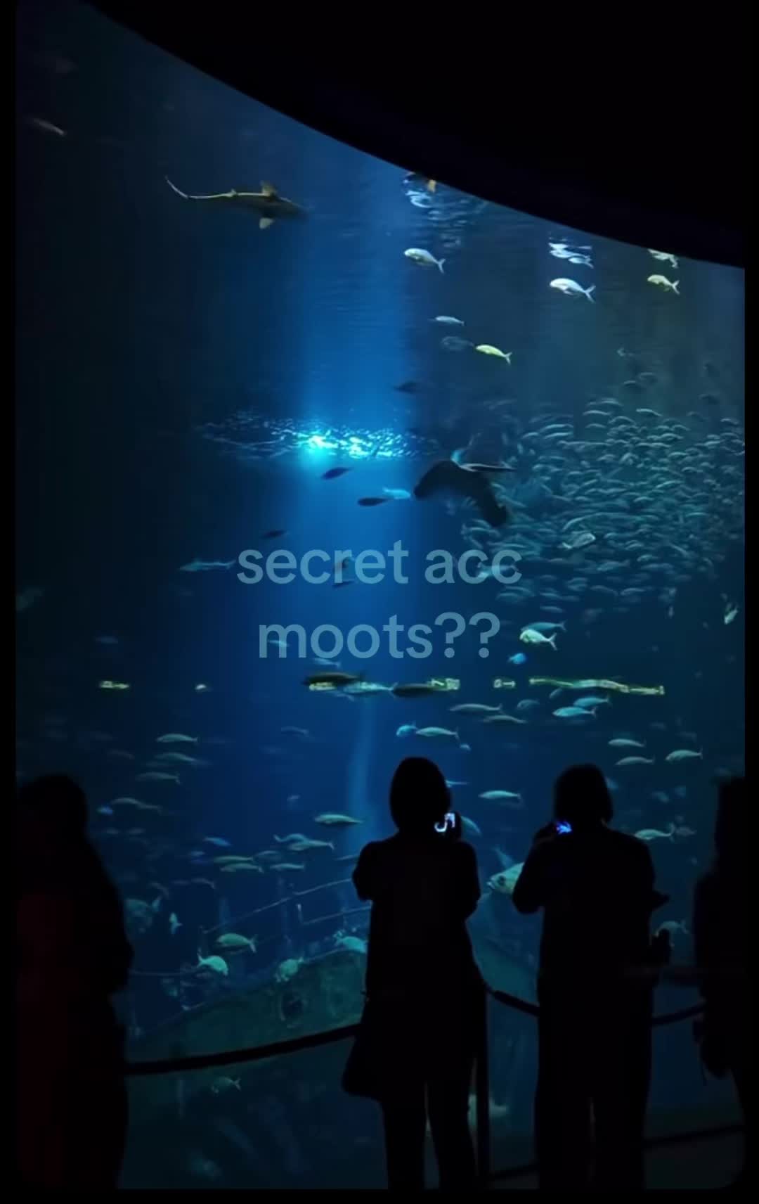 @*