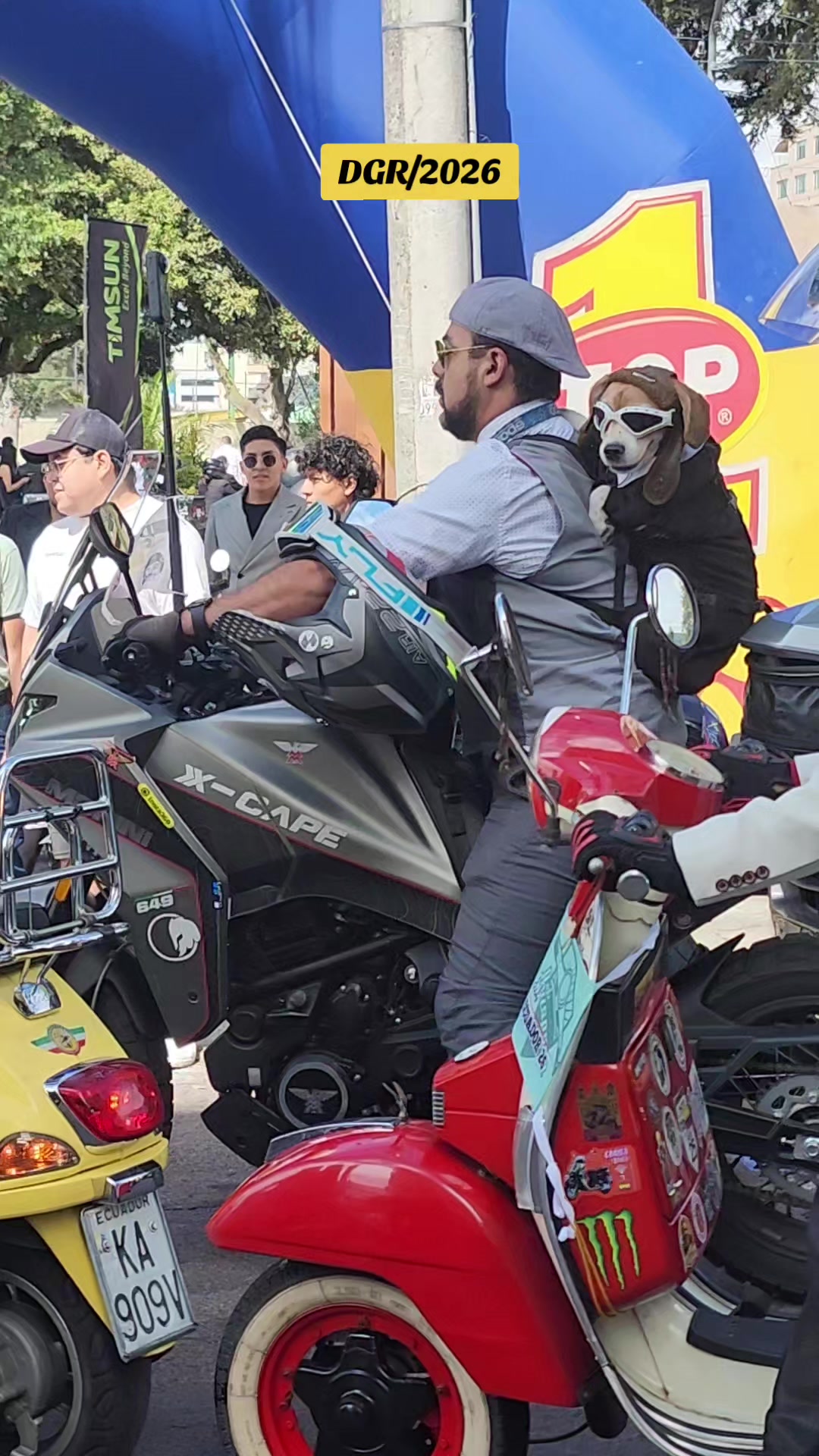 @🏍️D I E G O🏍️