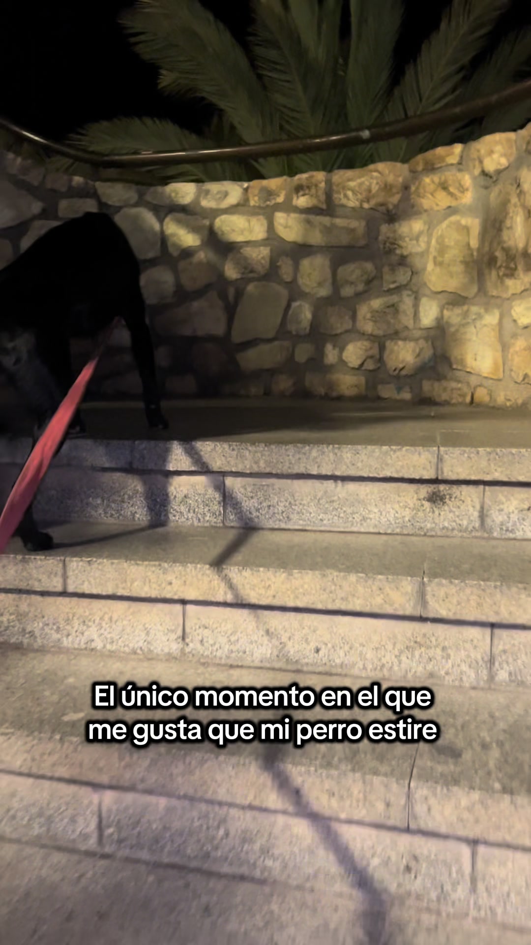 @Ares y Aura