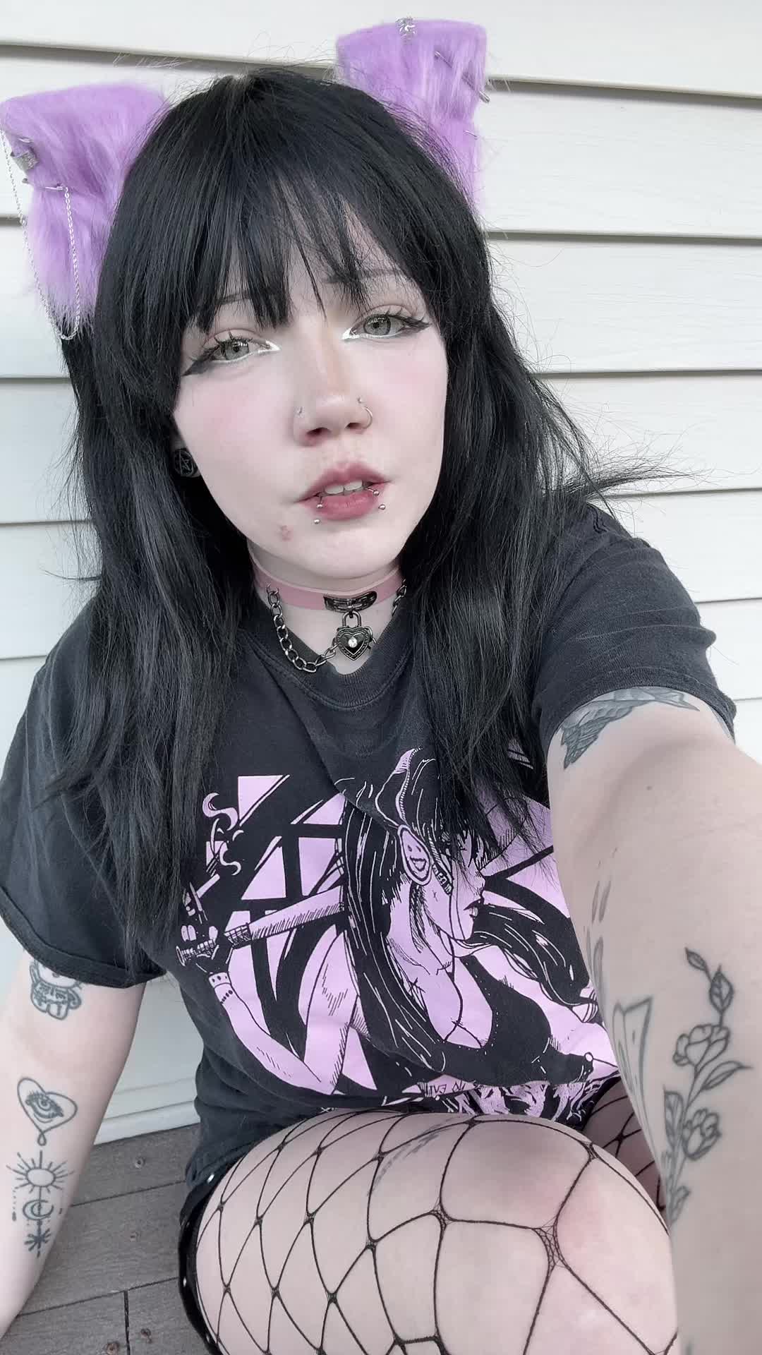 @kitty