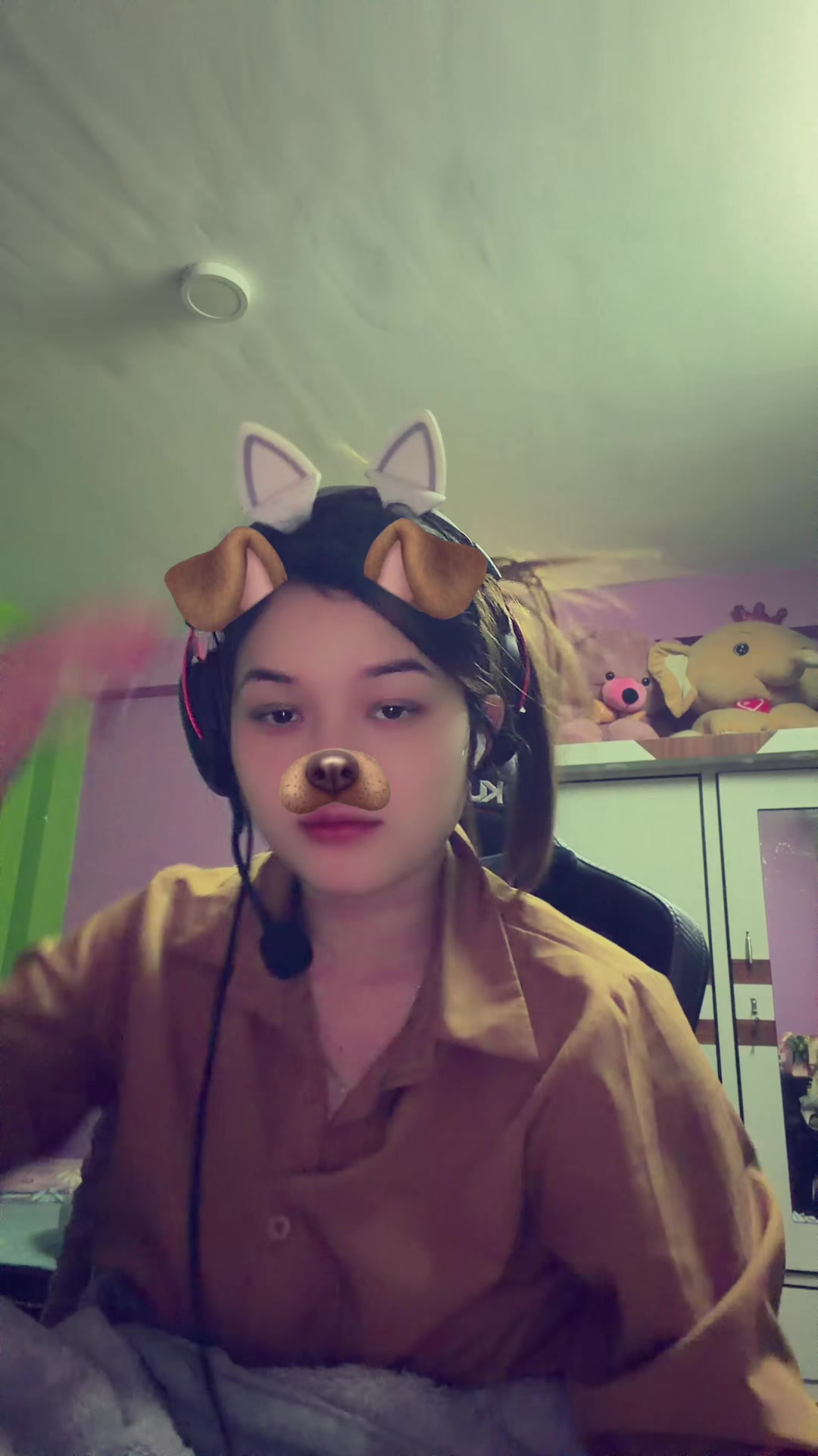 @Meow Meow