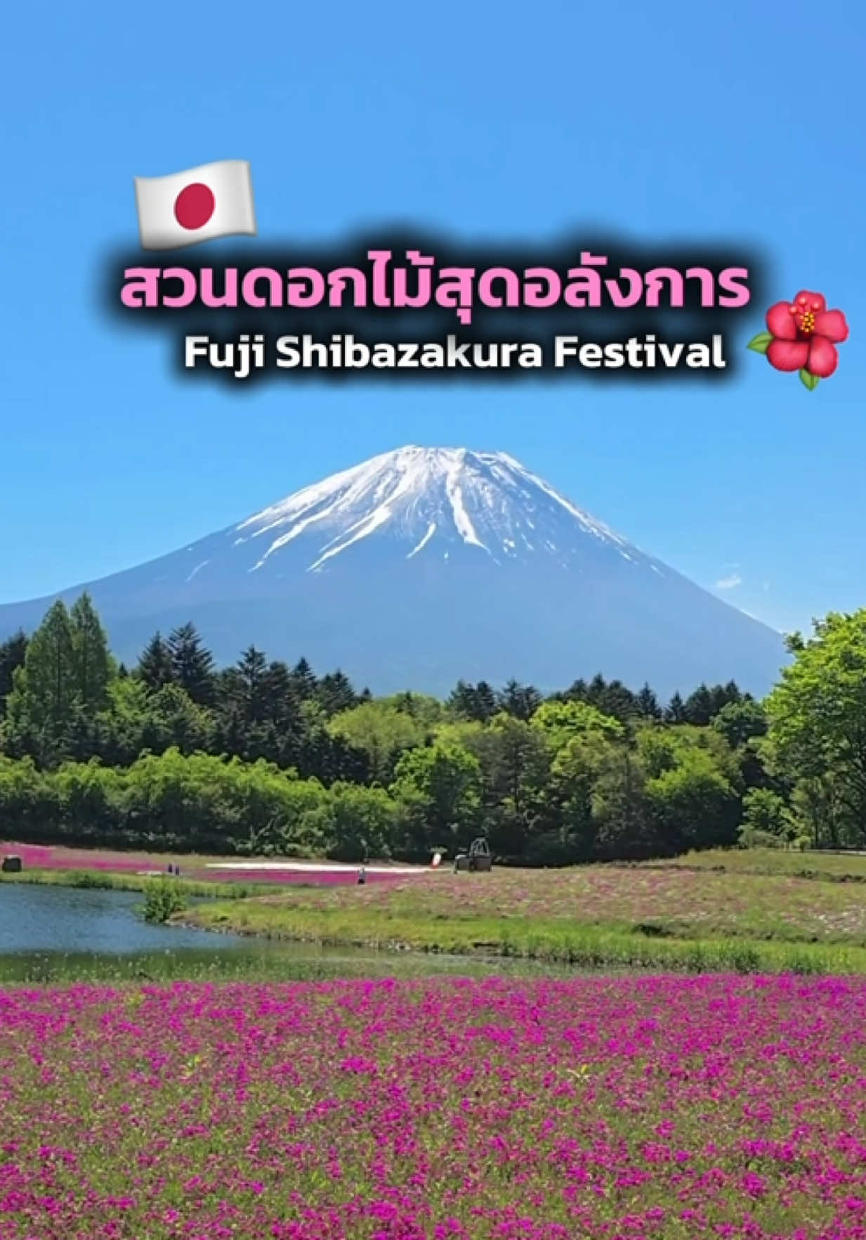 @HappyDan JapanTrip