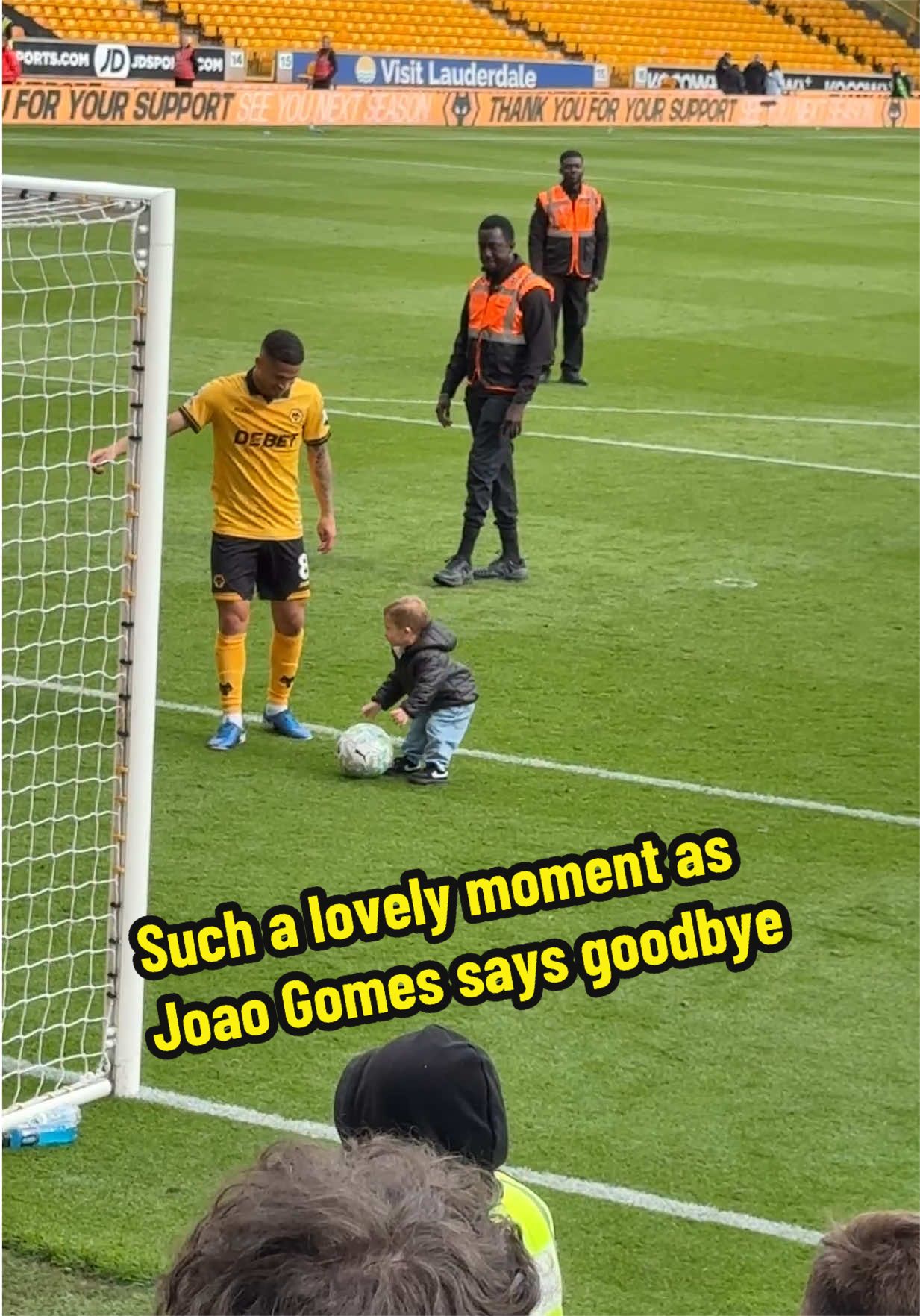 @ALWAYS WOLVES FAN TV