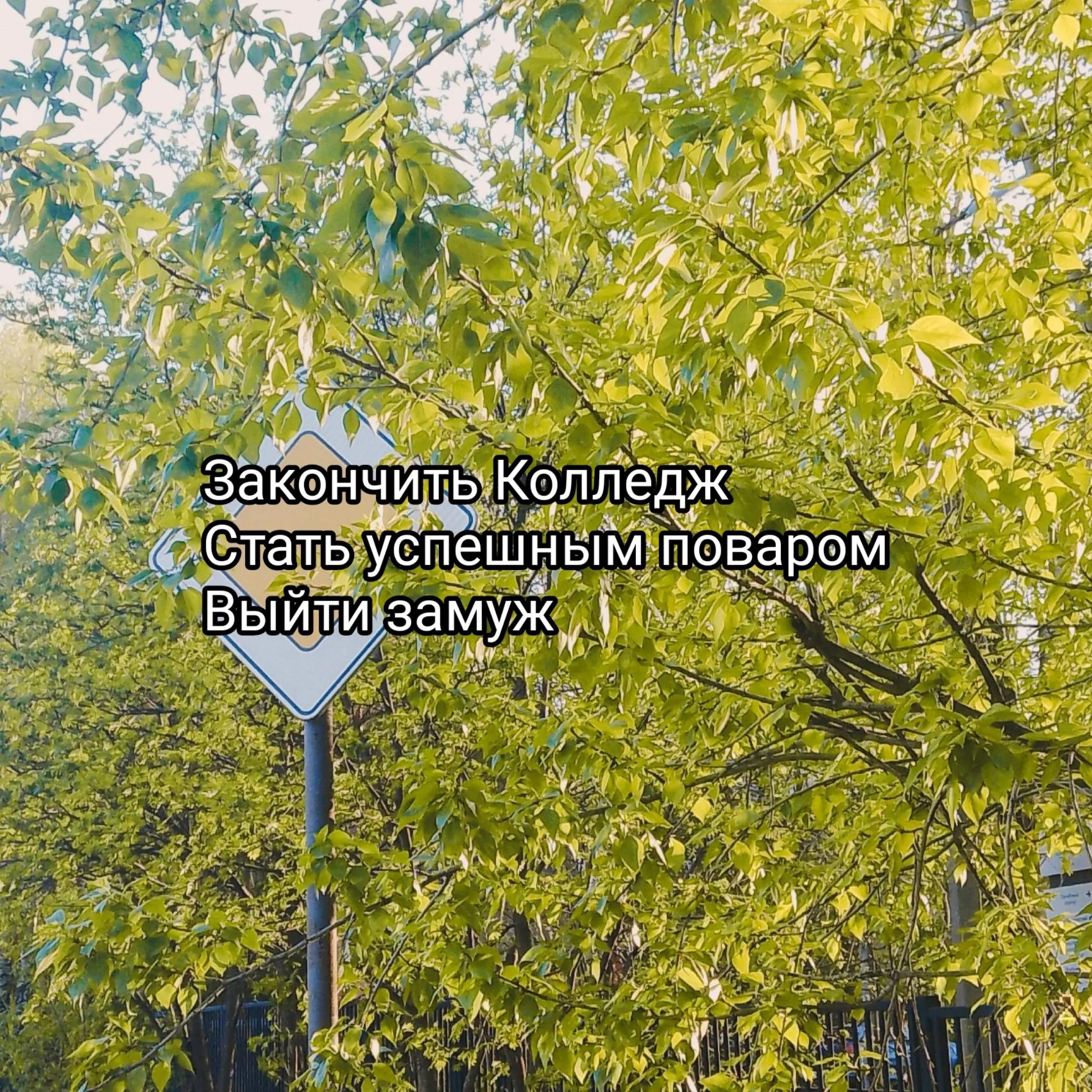 @Рейчел
