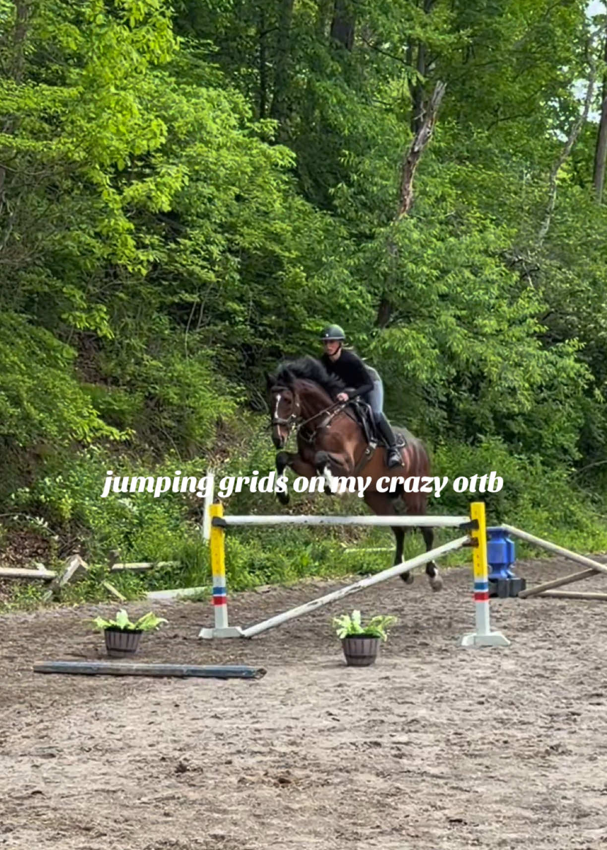 @Lunar Hill Equestrian