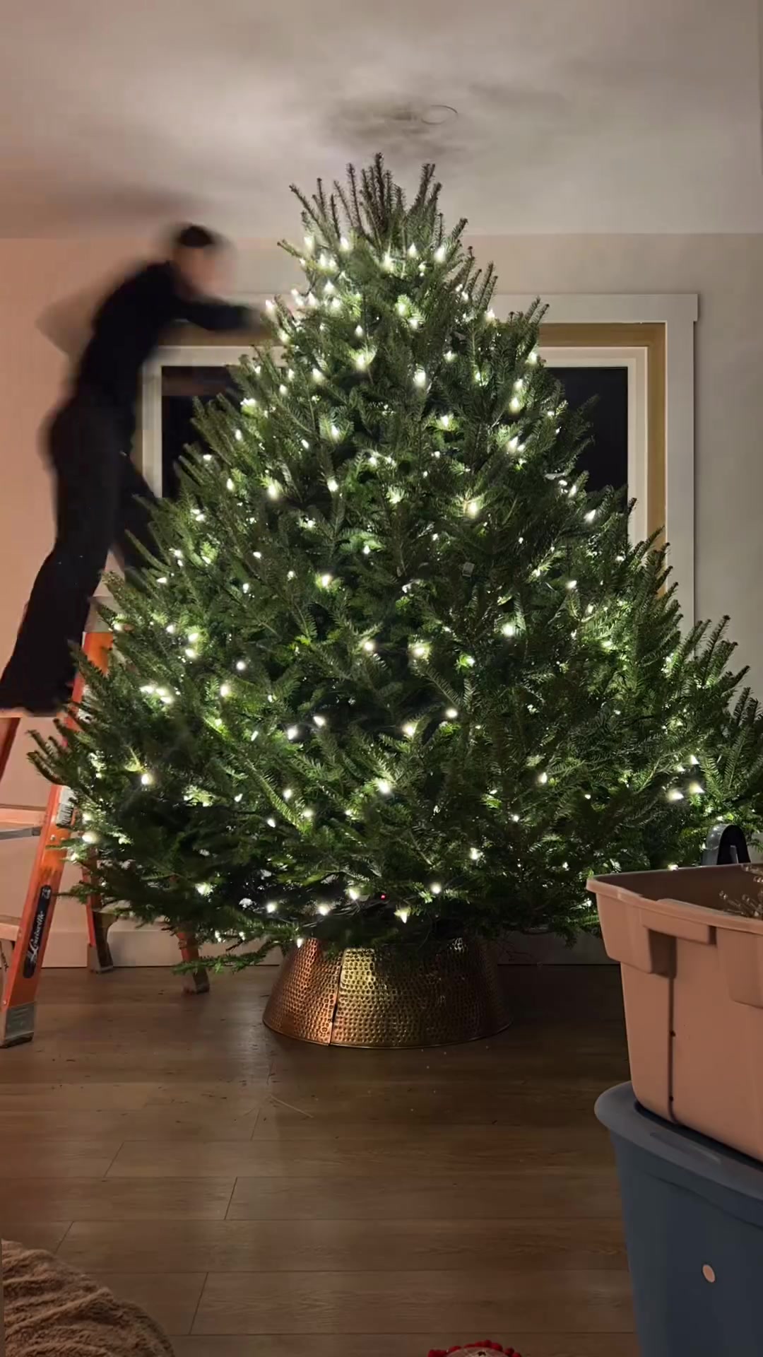 @Christmas 2026🎄🎅🏻☃️❄️✨⭐️
