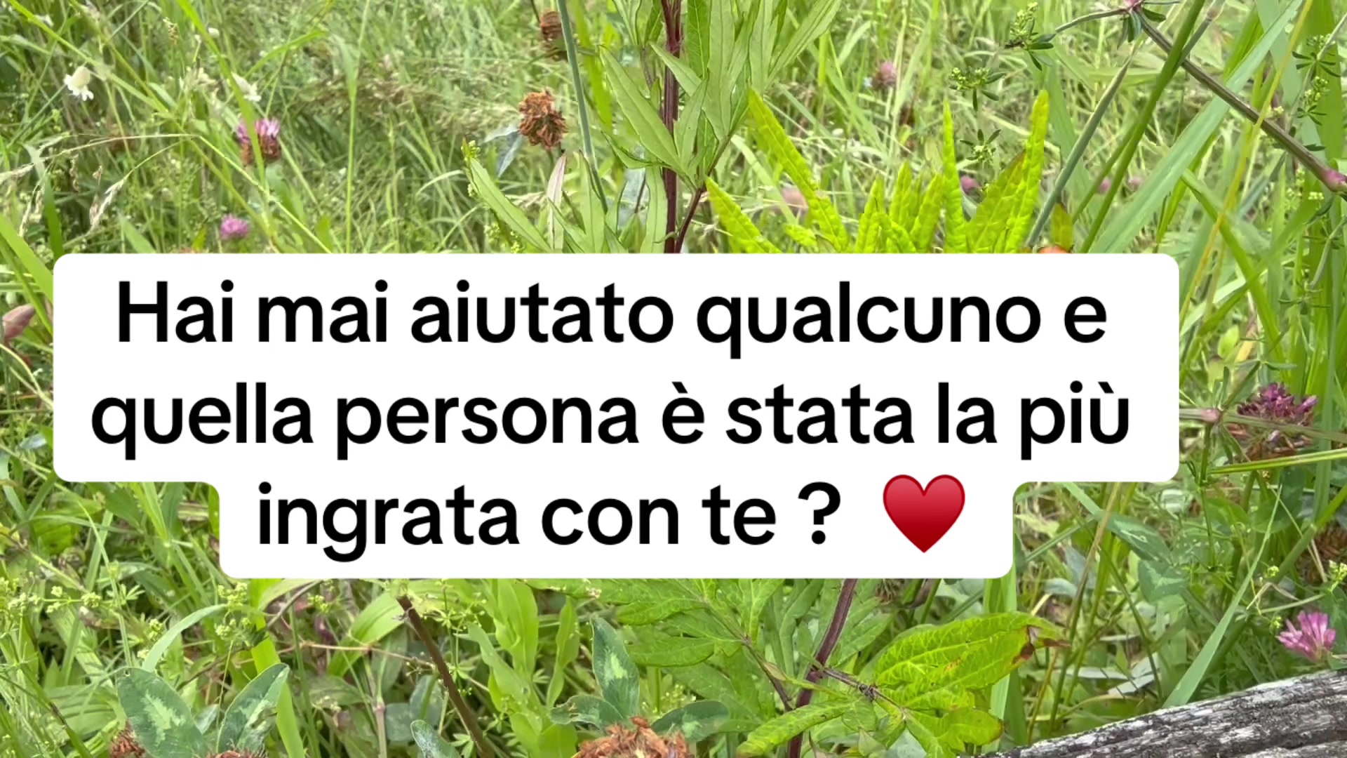 @Baby J.J &hearts;️