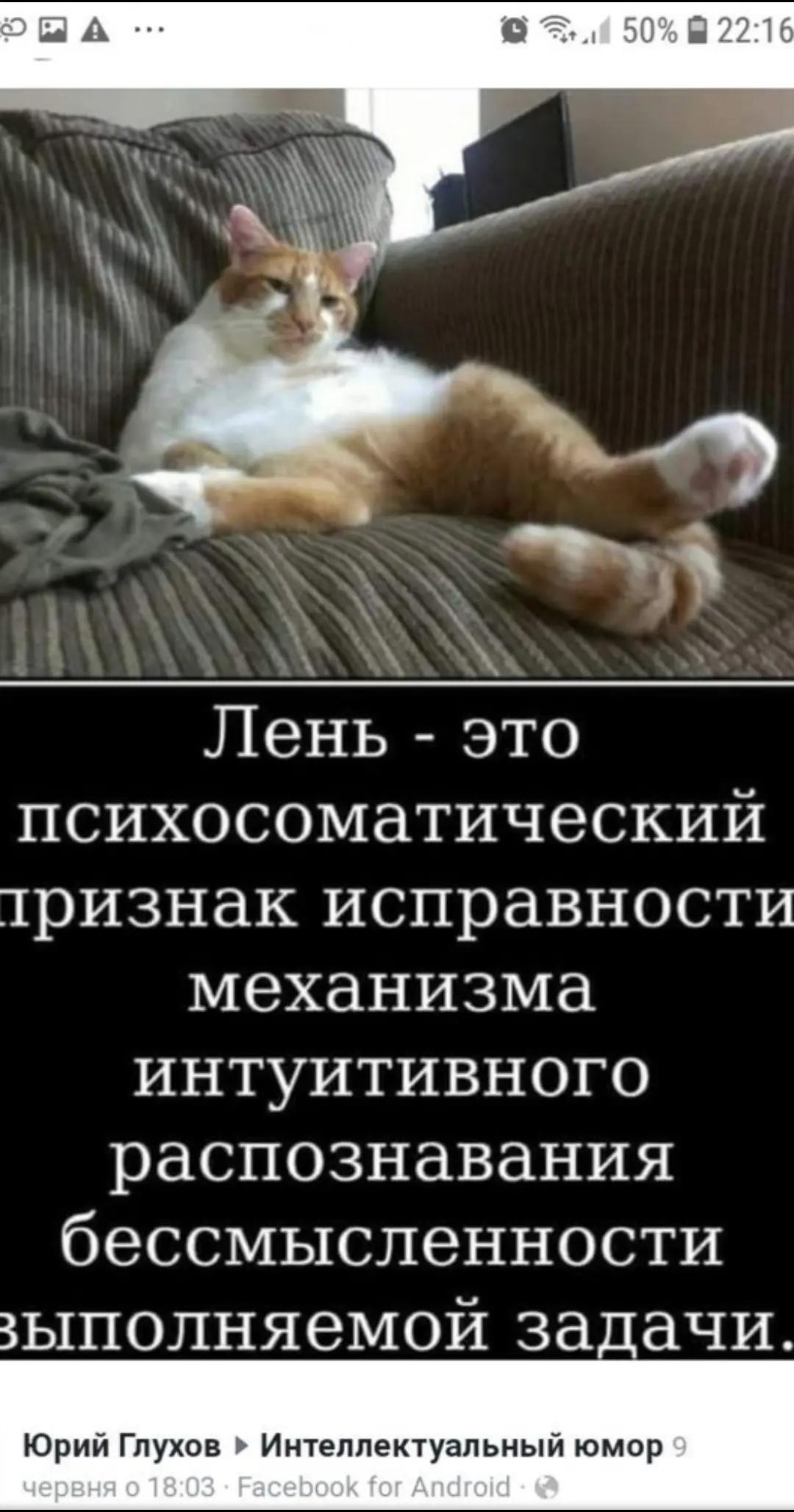 @Ludmila B