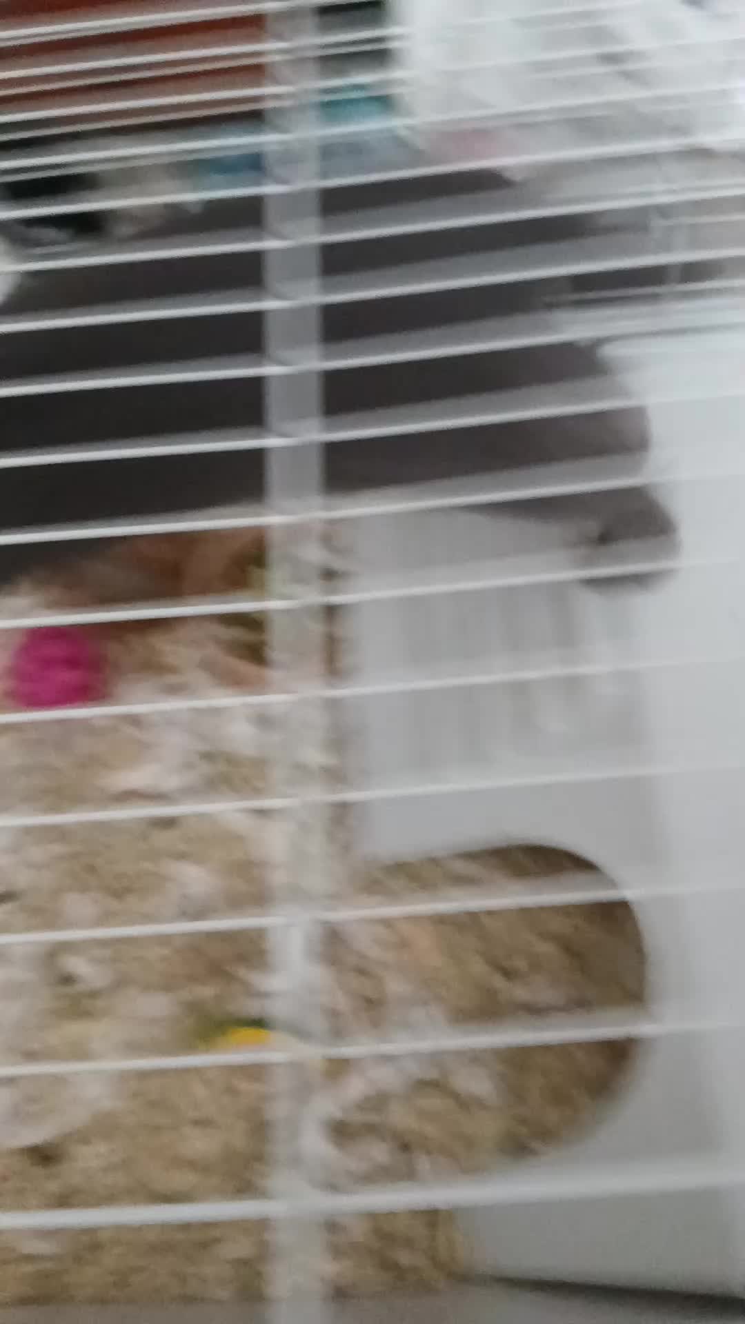 @KirbyqteUwU