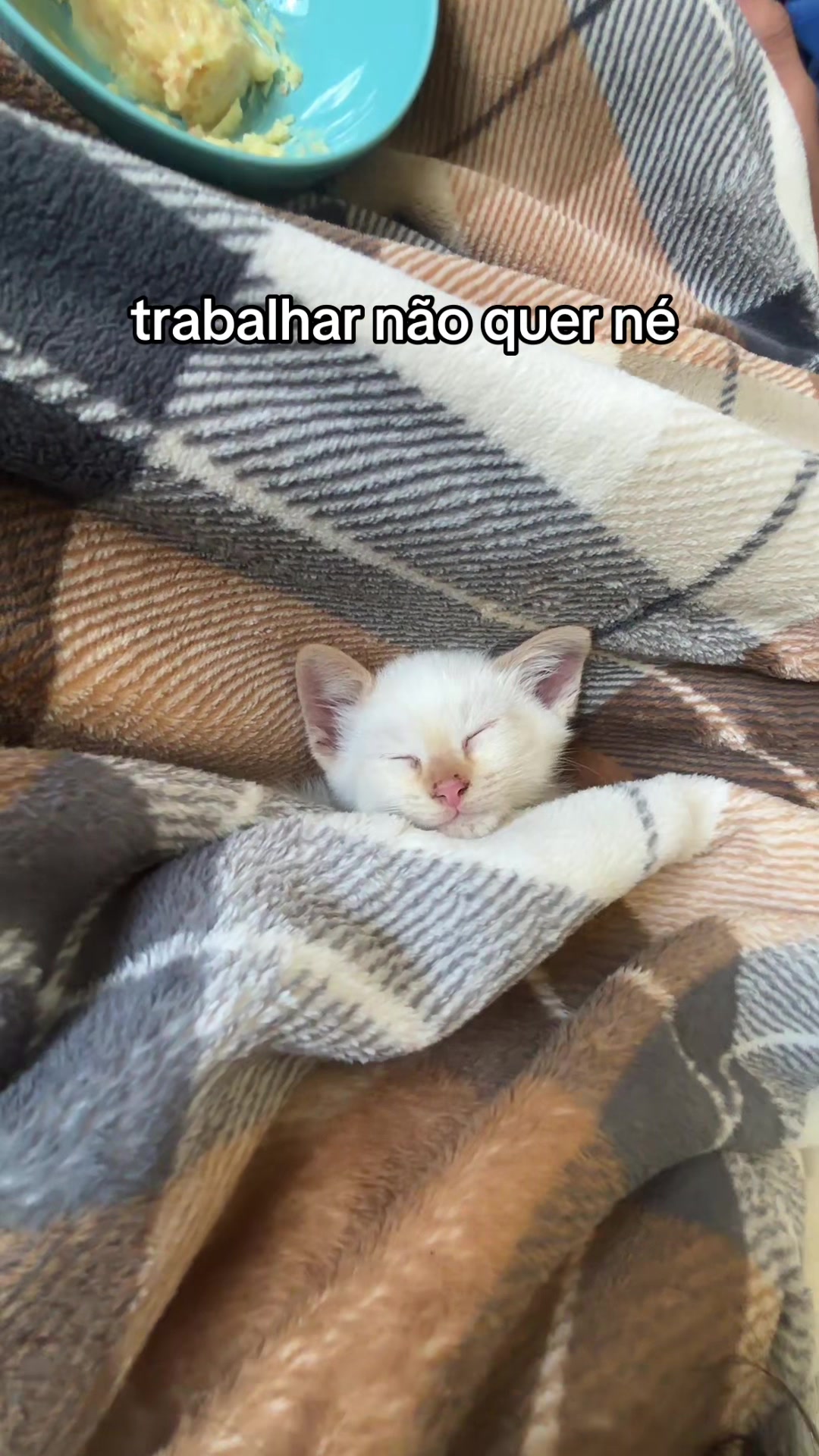 @Trov&atilde;o