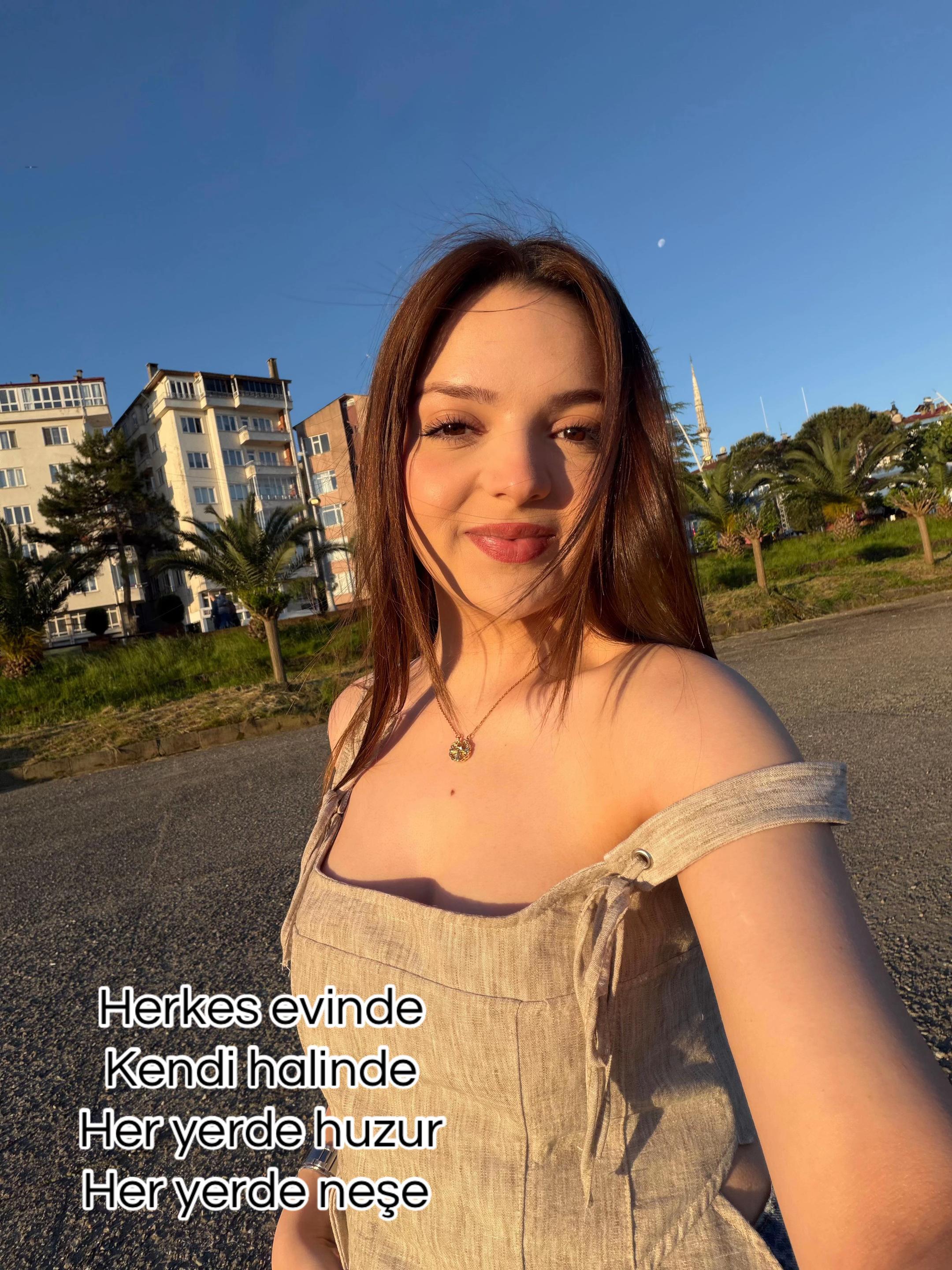 @merrveemsii