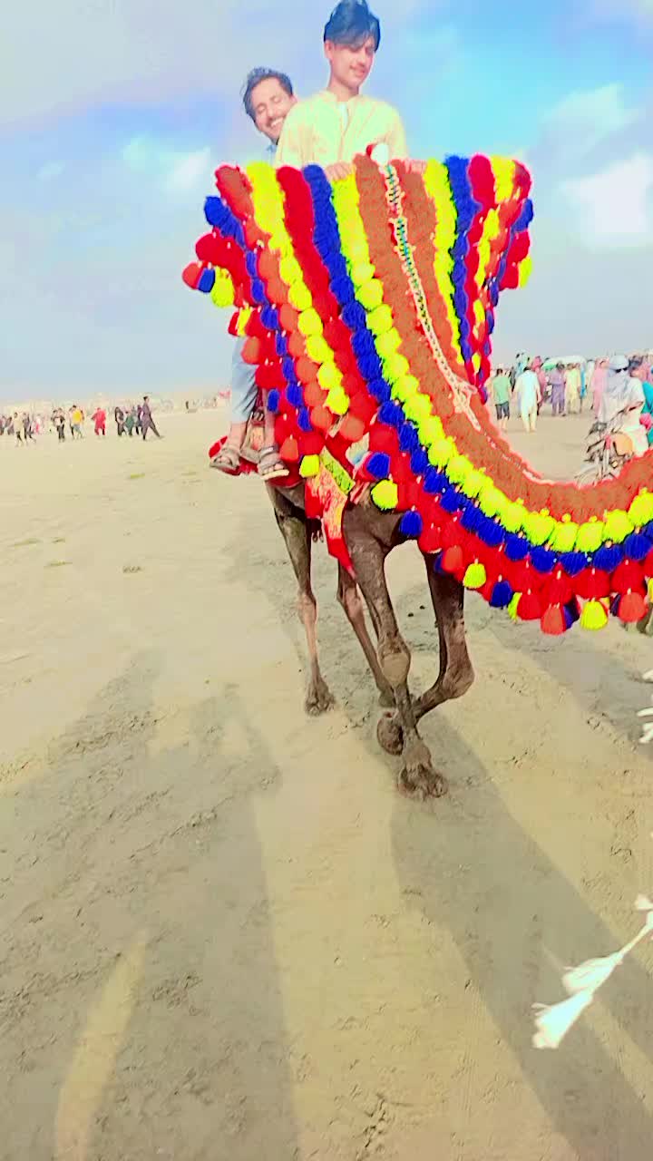 @shahbranali94