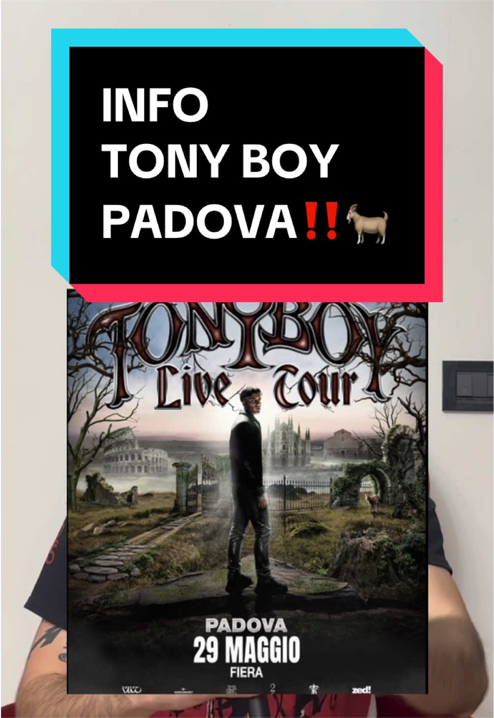 @anthonybellina