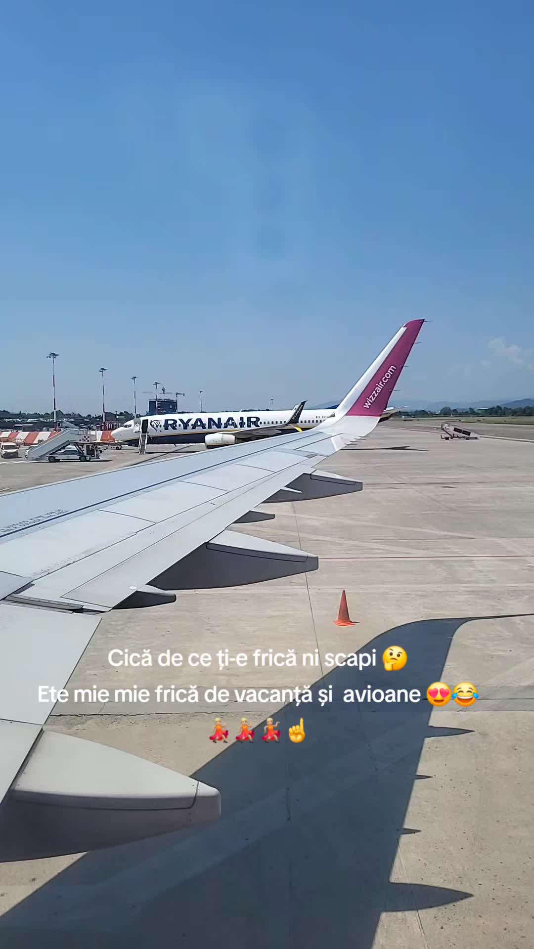 @marianeniu486