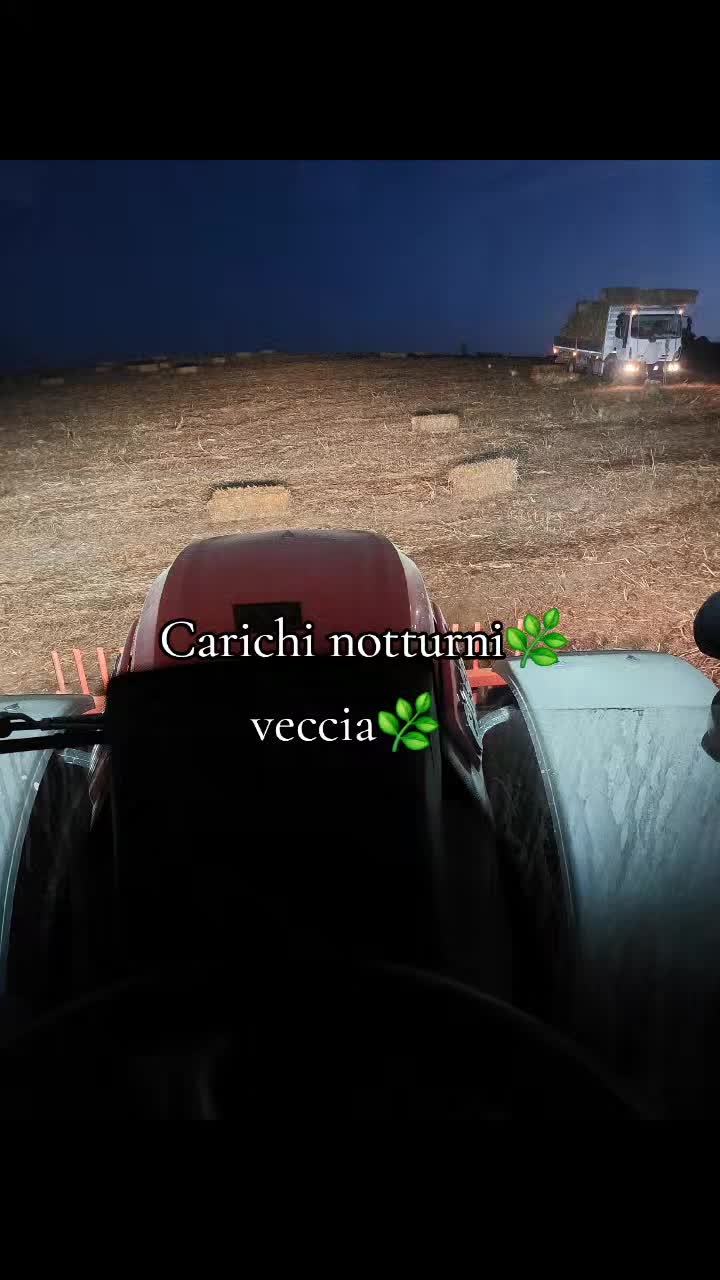 @laureato82