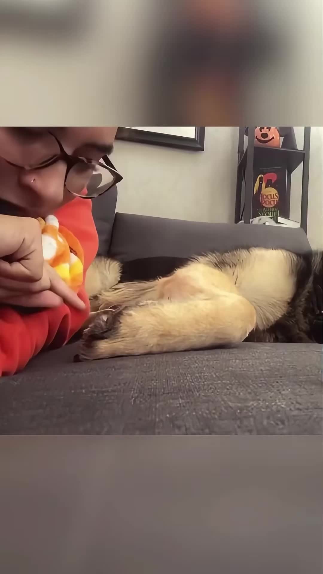 @cuteanimals472