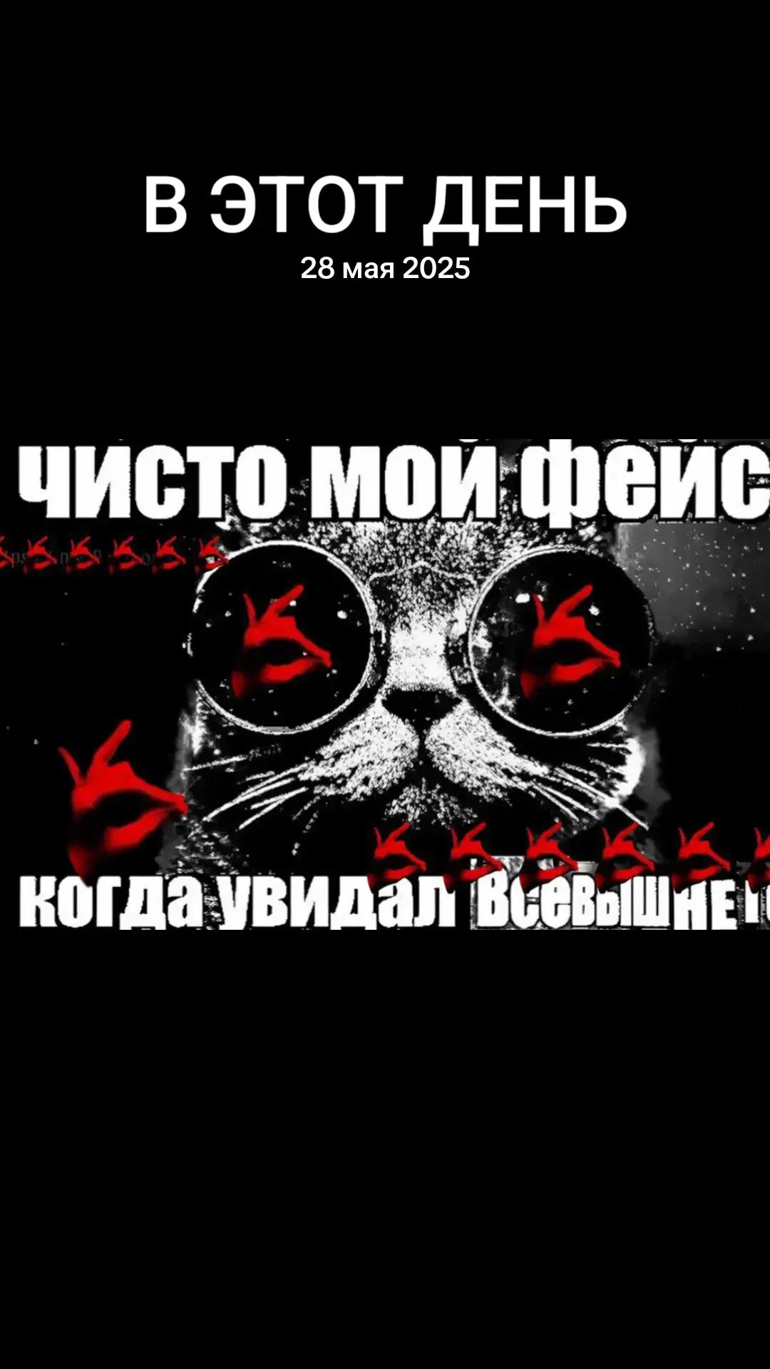 @sir kochka