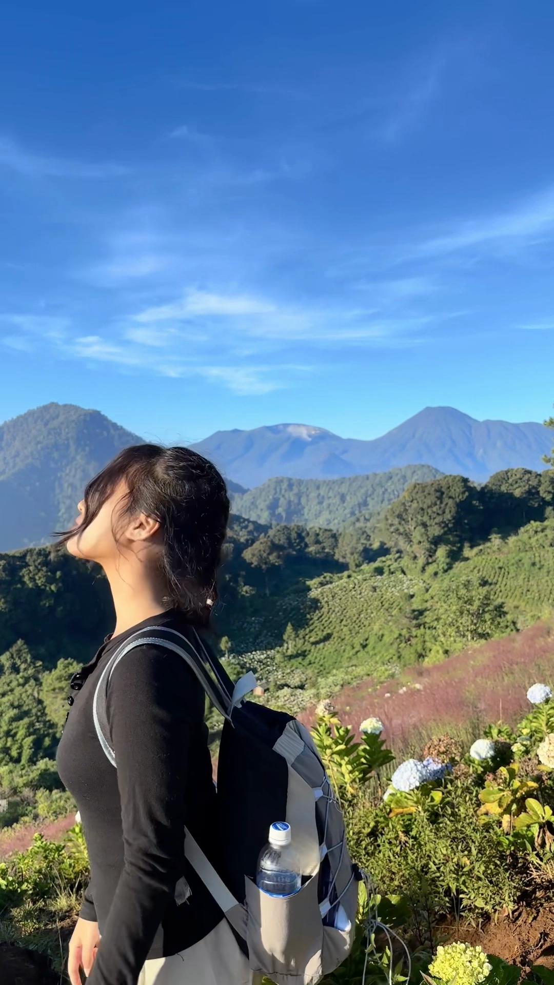 @pipuy444🇮🇩