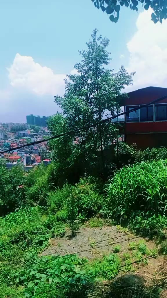 @प्र🌷कृ🌿ती