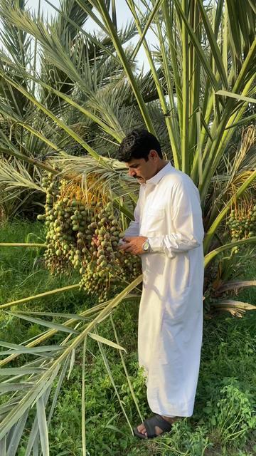 @Irshadali
