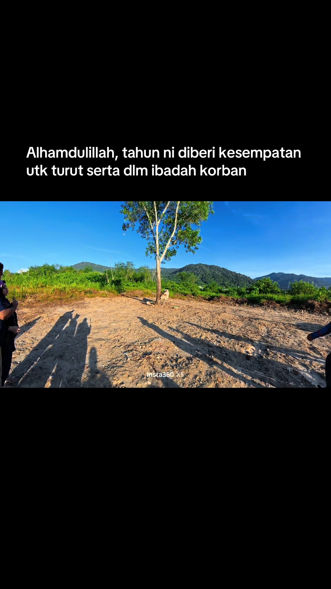 @Shasha_
