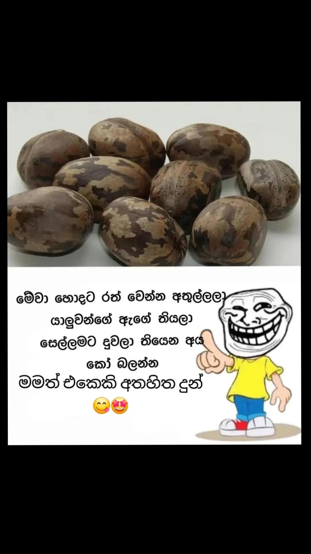 @🇱🇰🎤තනිකමේ🩸🎵🎤 විසේකාරයා🩸