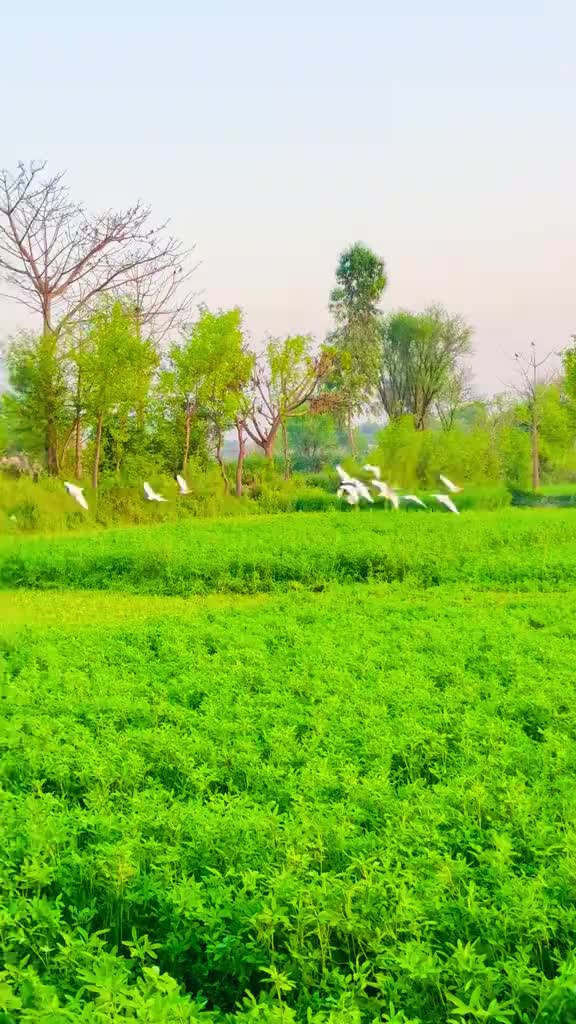 @🥷Malik Usman Khokhar 🥷🦅🦅